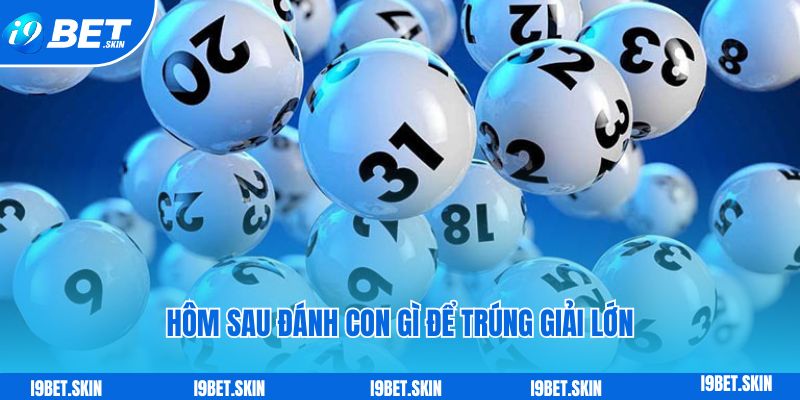 Đề về 08 hôm sau đánh con gì: Soi cầu i9bet giải đáp 3 Nếu hôm nay đề về 08 hôm sau đánh con gì để trúng giải lớn